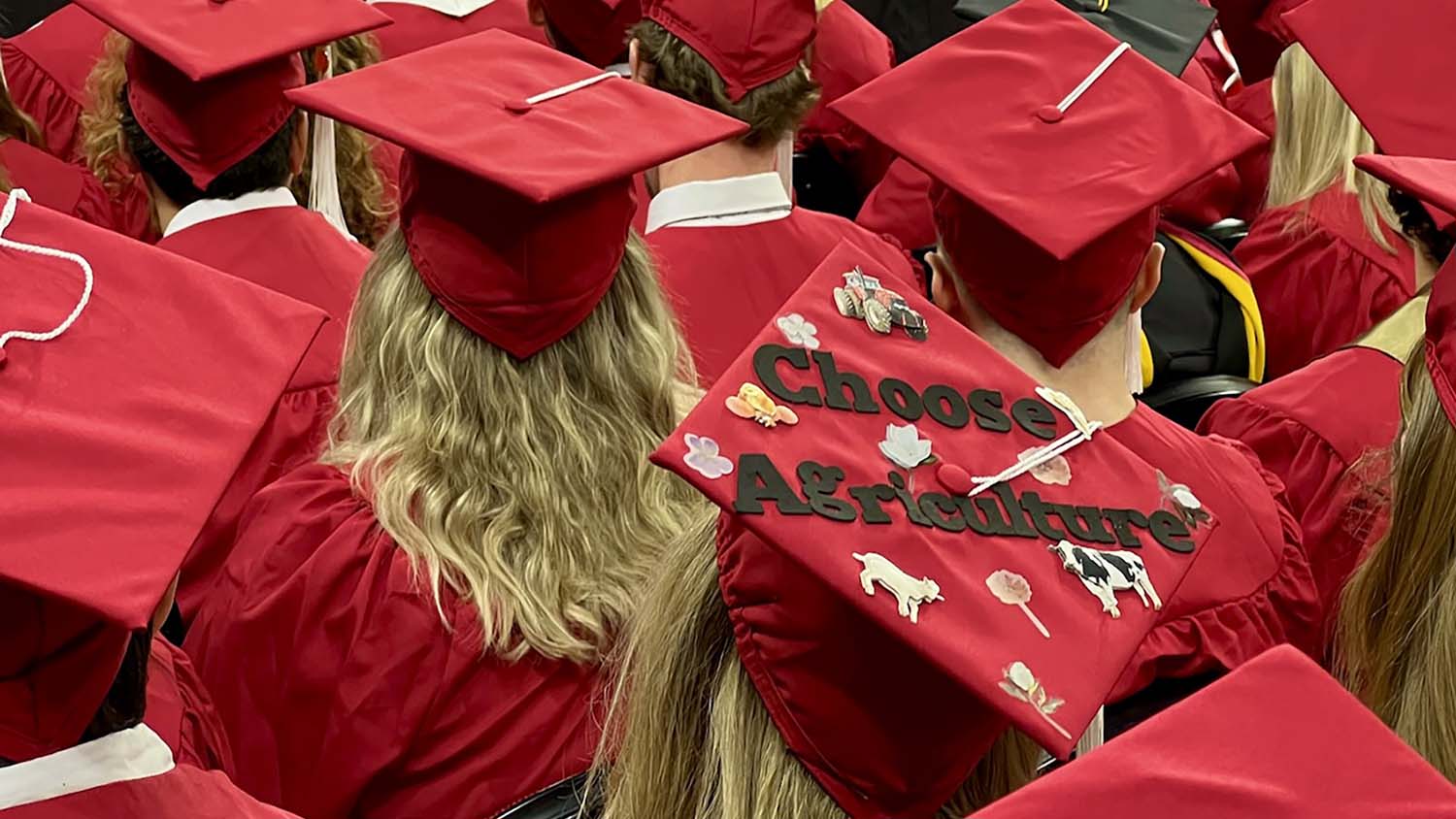 a graduation hat that says choose agriculture