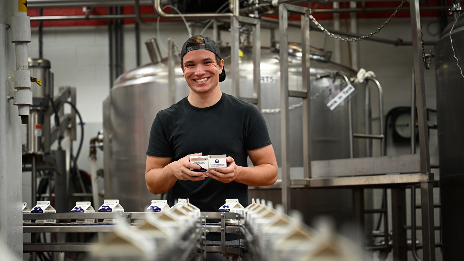 Undergraduate student Zach Gabor works in the Robert H. Feldmeier Dairy Processing Lab in Schaub Hall; Gabor works with milk products and Howling Cow ice cream. Photo by Marc Hall
