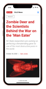 mockup of an article on a phone screen