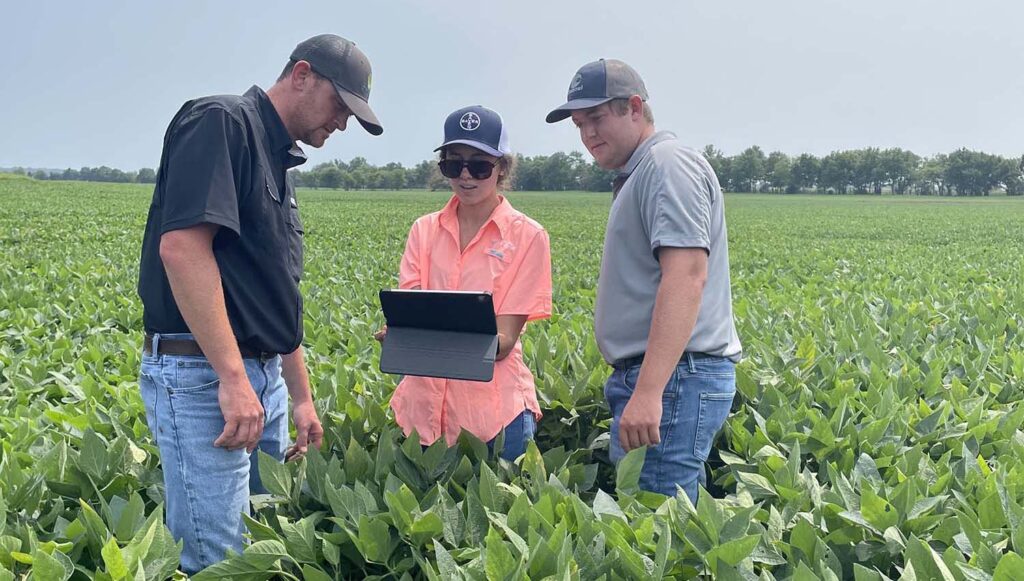 a woman stands in a corn field with two men looking at a laptop