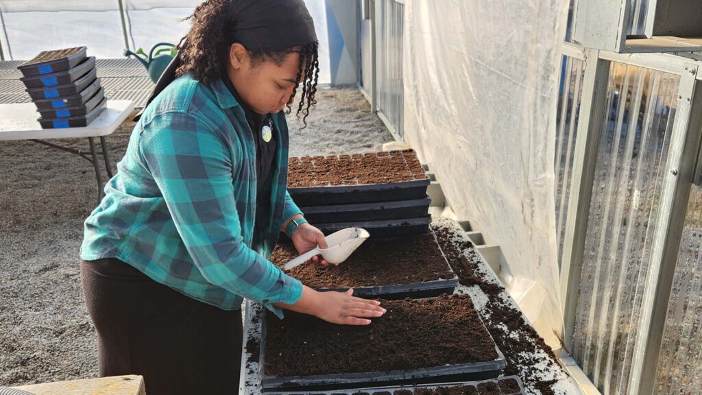 Young woman working in greenhouse