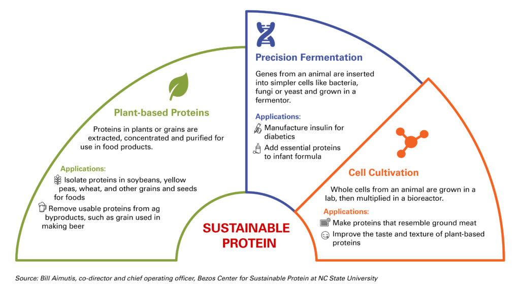 Sustainable protein graphic with plant-based proteins, precision fermentation and cell cultivation information
