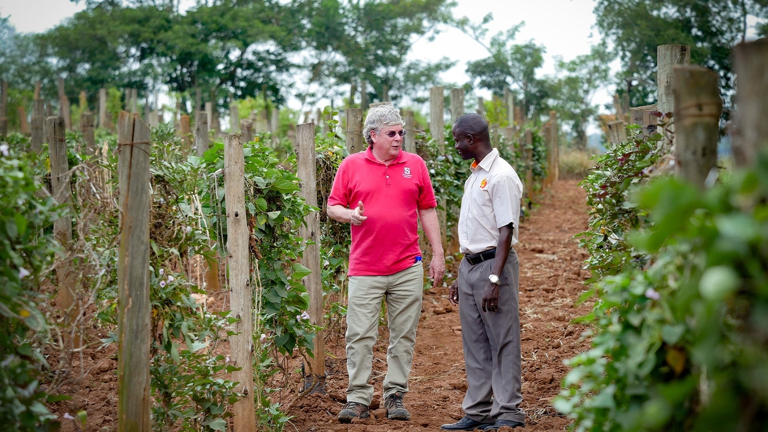 Craig Yencho speaks with a crop researcher in Africa