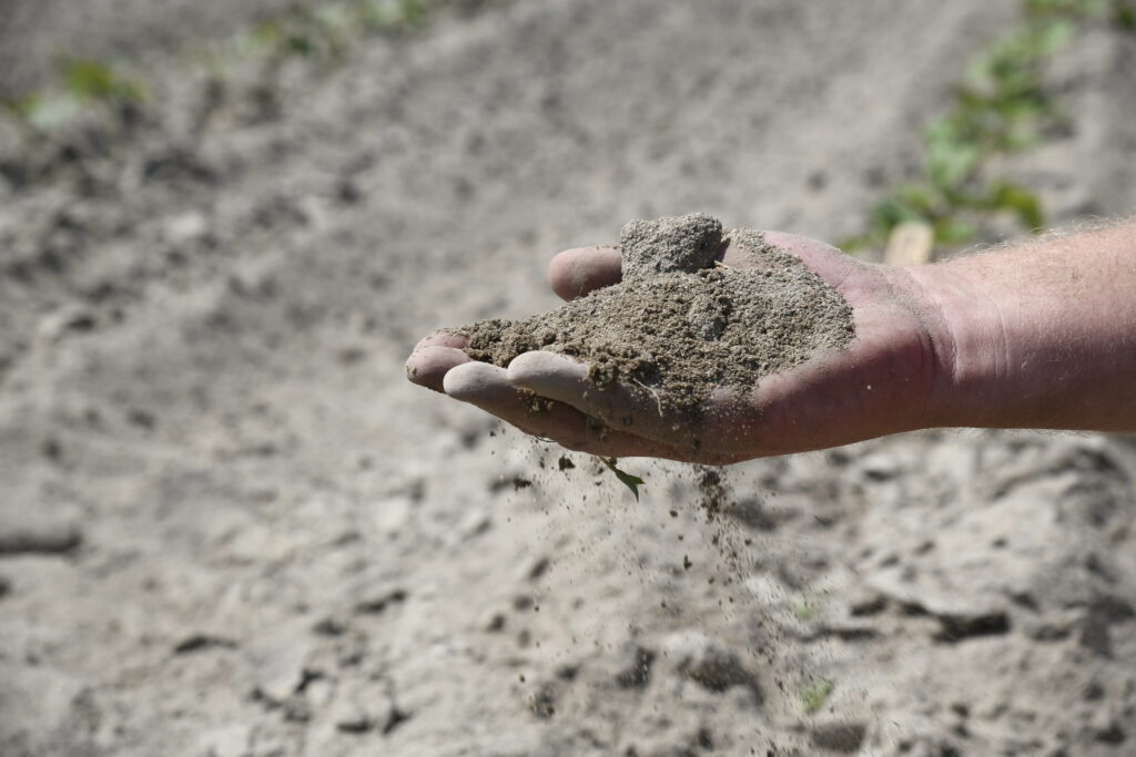 hand holding sandy soil