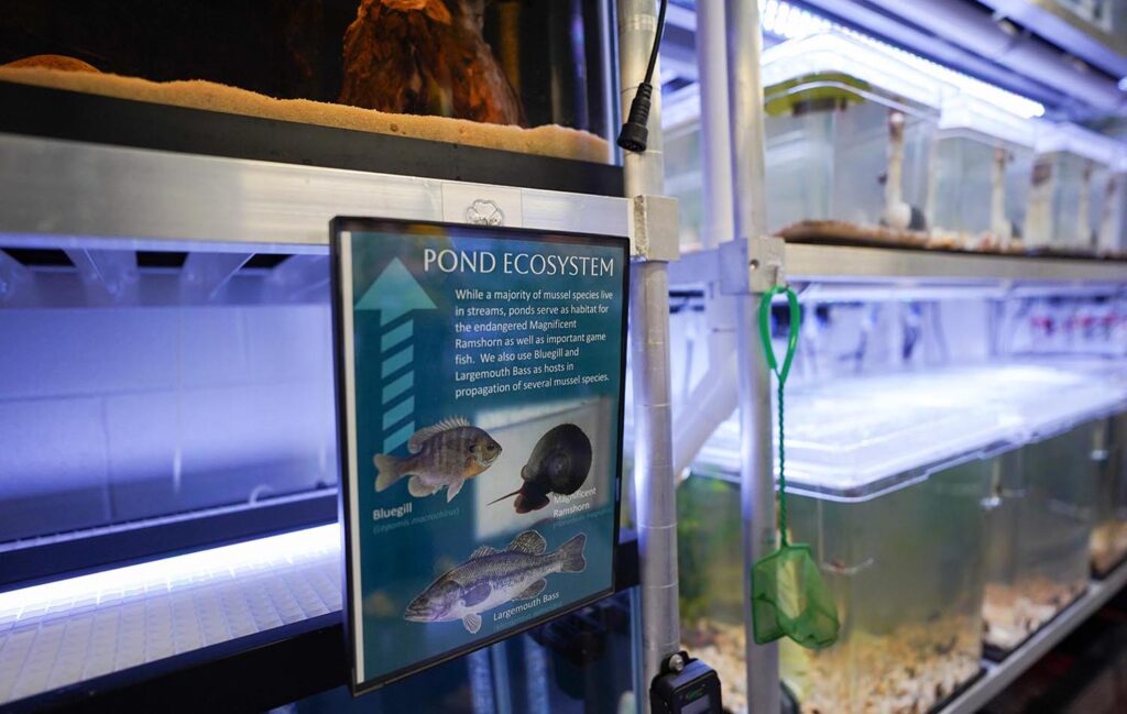 a sign with fish, snail and mussel species next to aquarium tanks