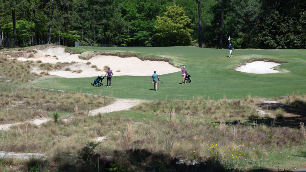 Golfers on Pinehurst No. 2 with wiregrass in the foreground