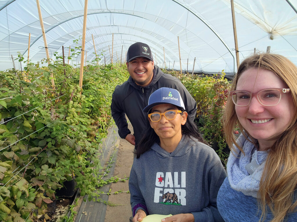 three people stand inside of a greenhouse growing blackberries