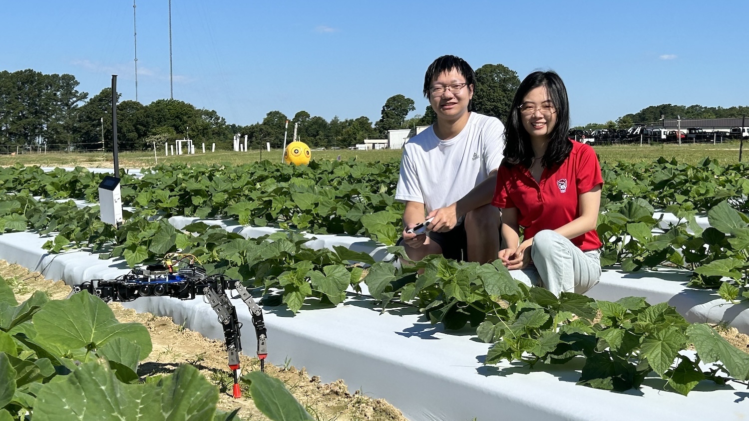 Student and professor in a cucumber field with a spider-like robot.