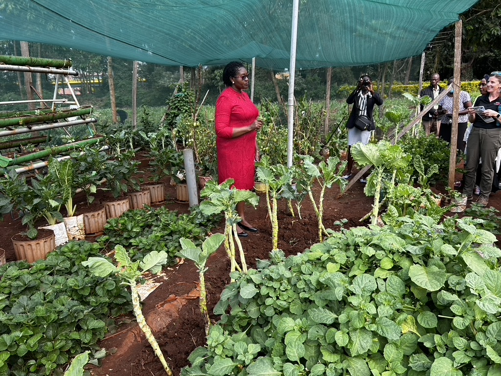 People in a vegetable garden