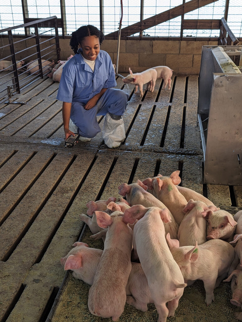 a young woman in a pig barn surrounded by small pigs