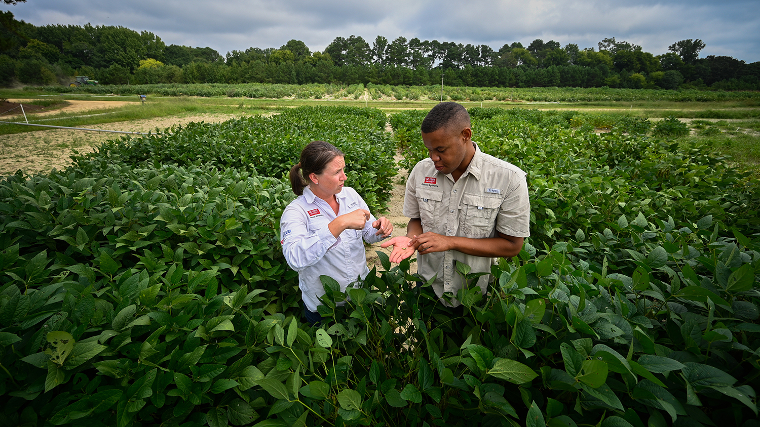 a woman and a man stand in a field of green crops