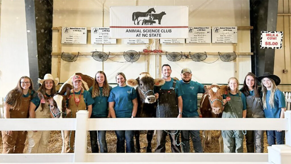 a group of people with a cow at the fair