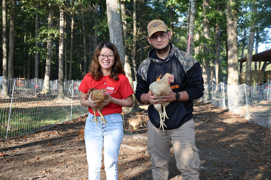 a woman and a man hold chickens in an outdoor pen