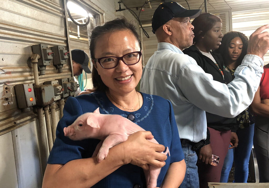 a woman holds a small piglet