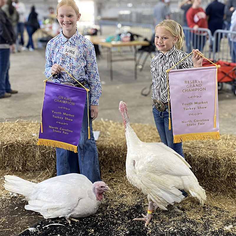 two little girls stand with turkeys