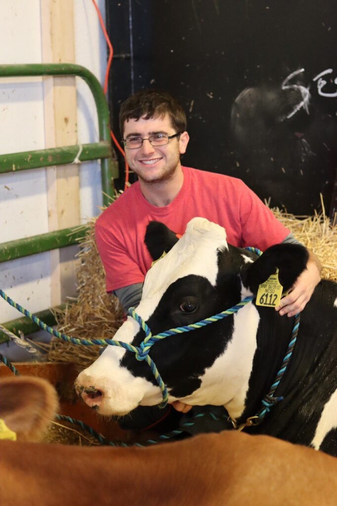 a man sits next to a cow