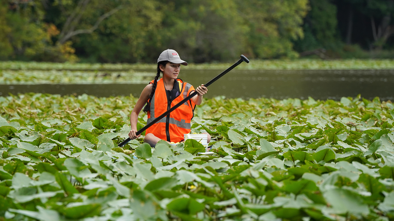 a woman paddleboarding in a patch of lily pads