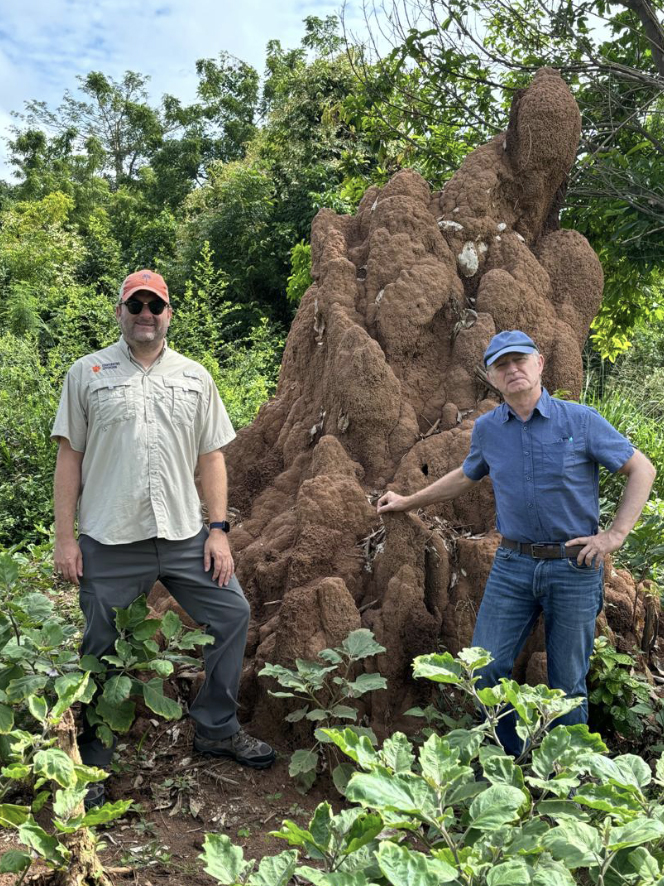 two men stand next to a giant termite mound