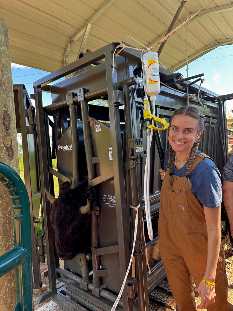 a woman stands next to a bull in a chute