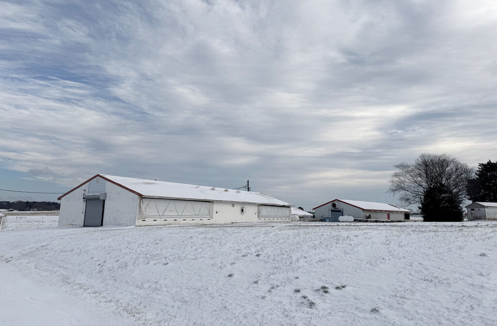 a chicken barn surrounded by snow