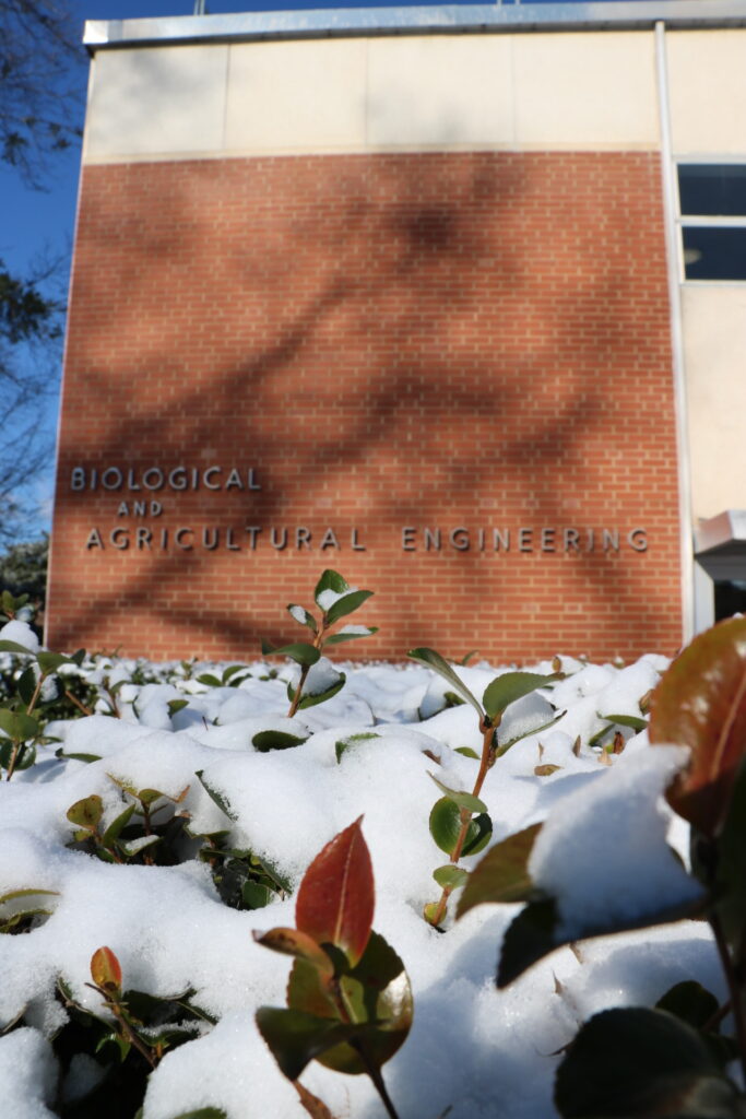 a building with snowy bushes in front