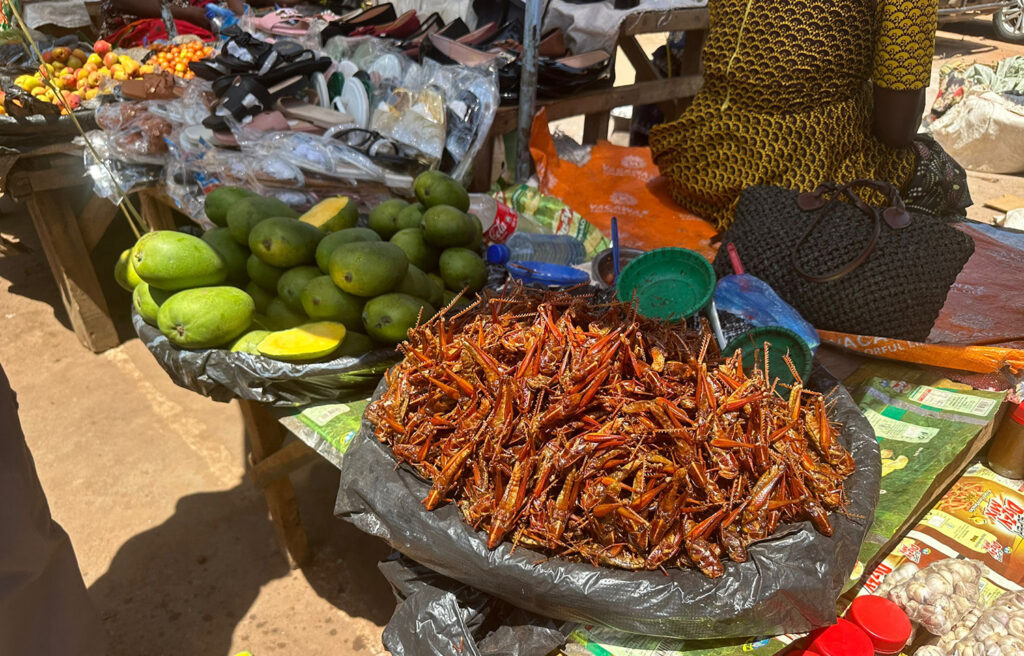 dried grasshoppers, fresh mangos and drygoods on display at an outdoor market in Malawi