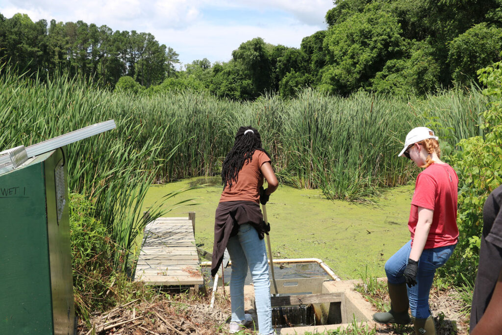 two women outdoors by a swampy grassy stream getting water samples