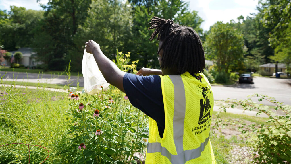 Raleigh-Bee-Program-1024x576.jpg