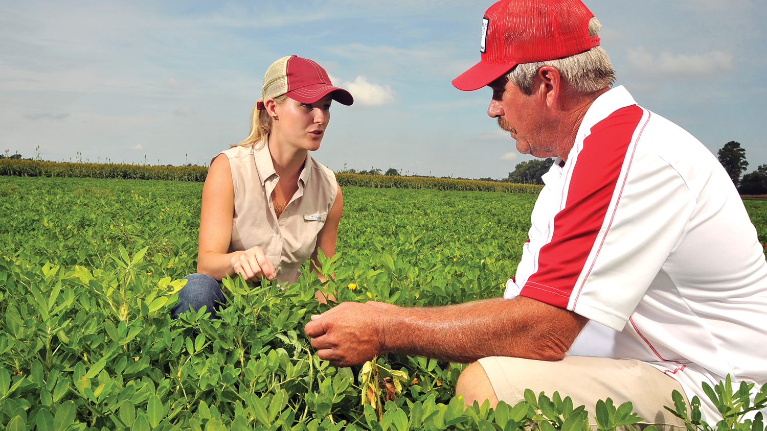 two people in a field of crops