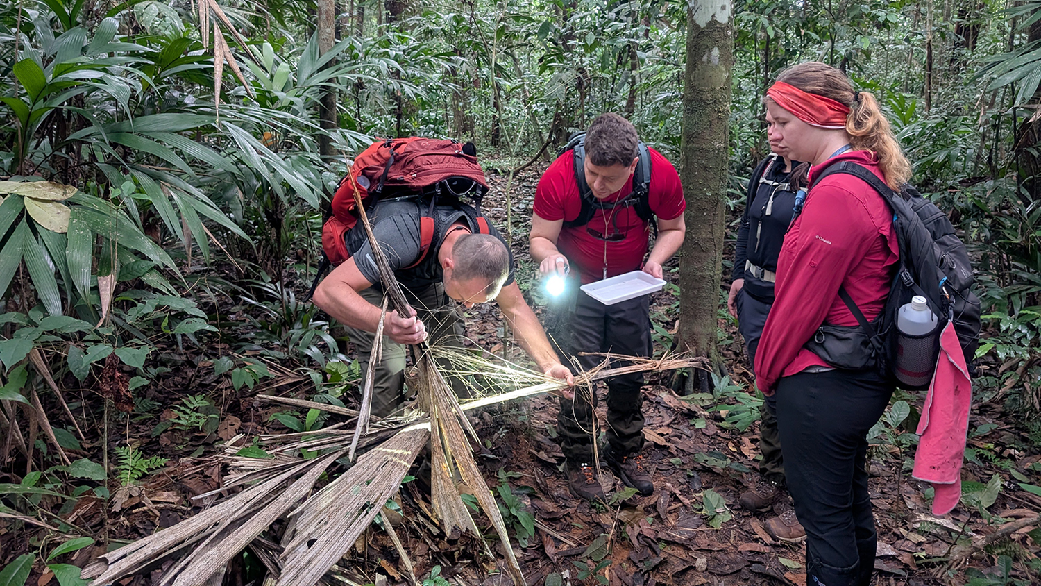 Peru Expedition Advances NC State Insect Collection, Research | College ...