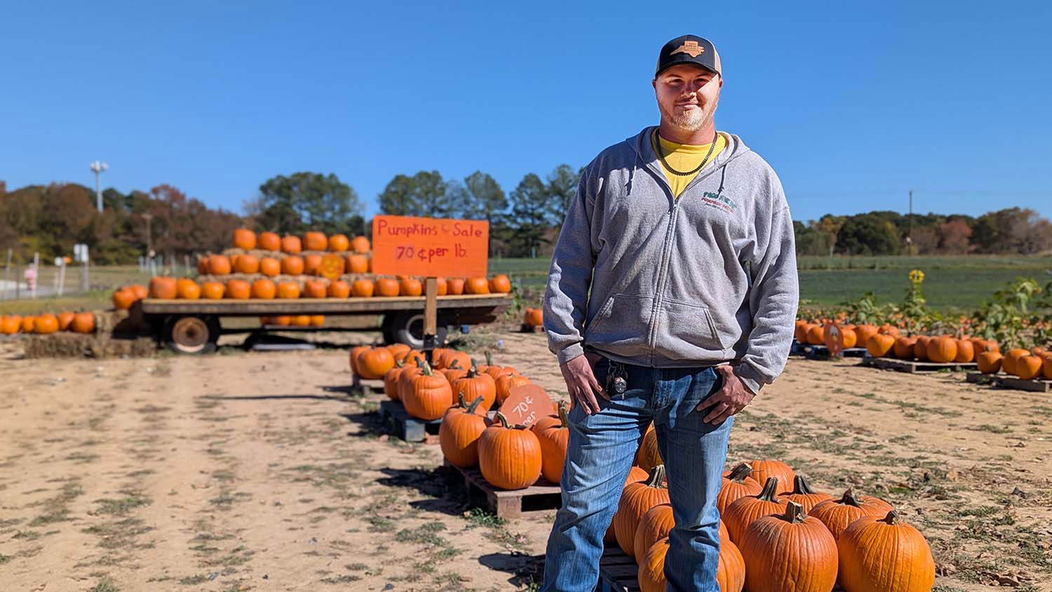 a man wearing a ball cap and a gray zippered jacket and blue jeans stands in front of pumpkins
