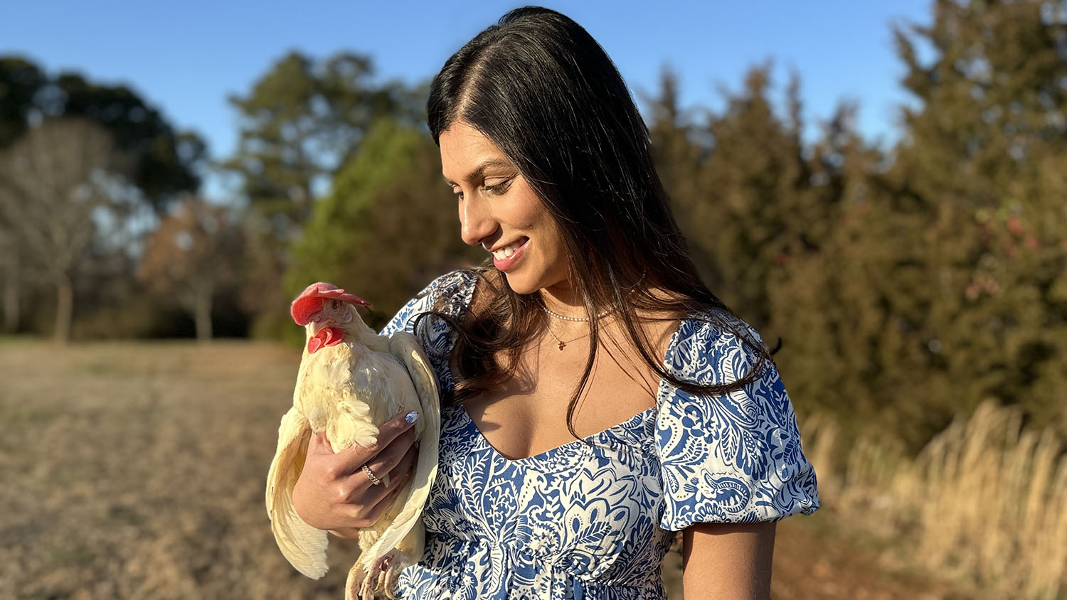 a woman wearing a white and blue dress standing outside holds a white chicken with a red wattle