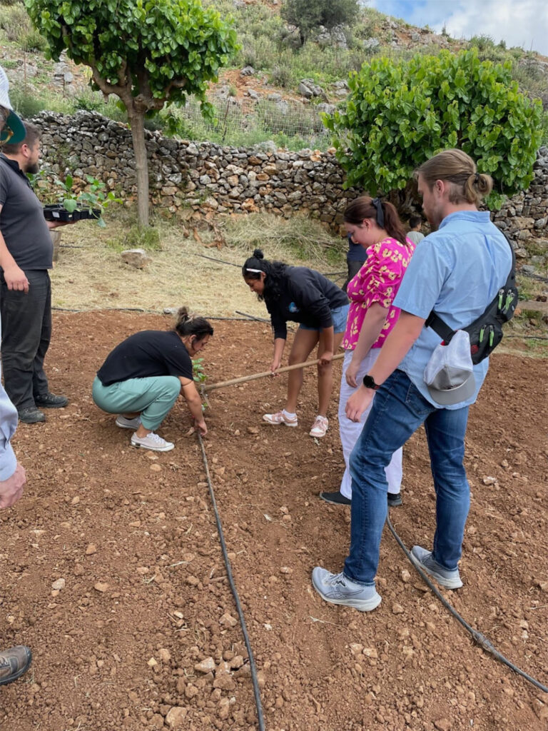 a group of people standing outside planting row crops