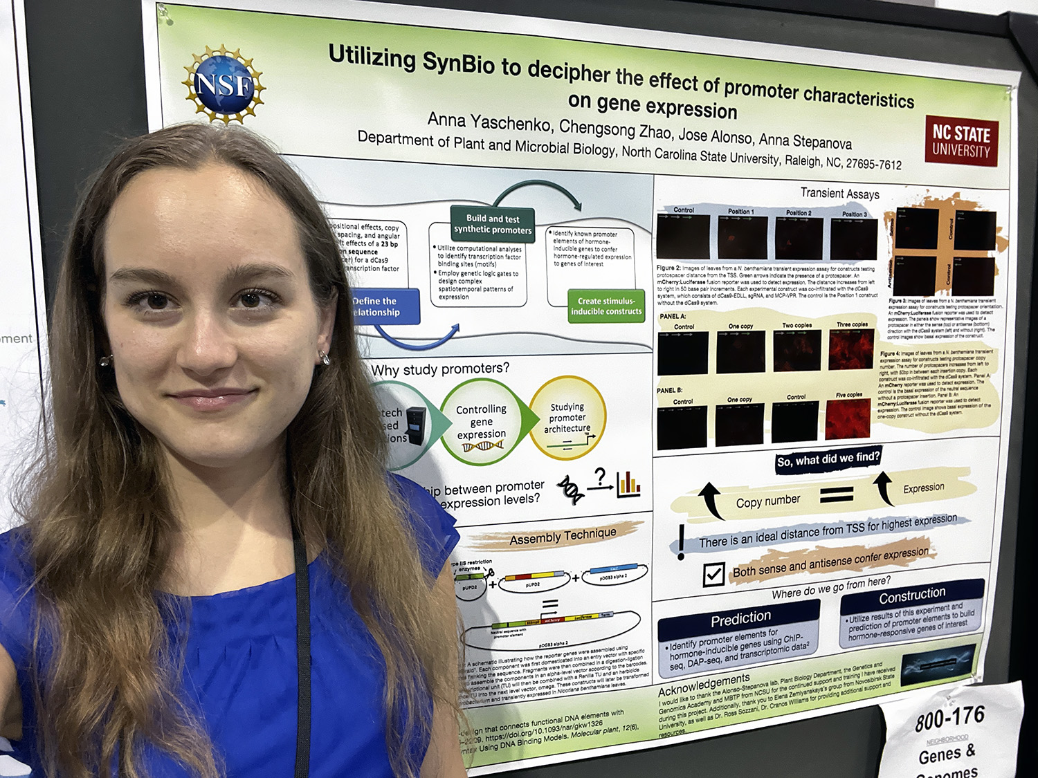 a woman with long light brown hair wearing a blue shirt standing in front of a research poster about promoter characteristics on gene expression