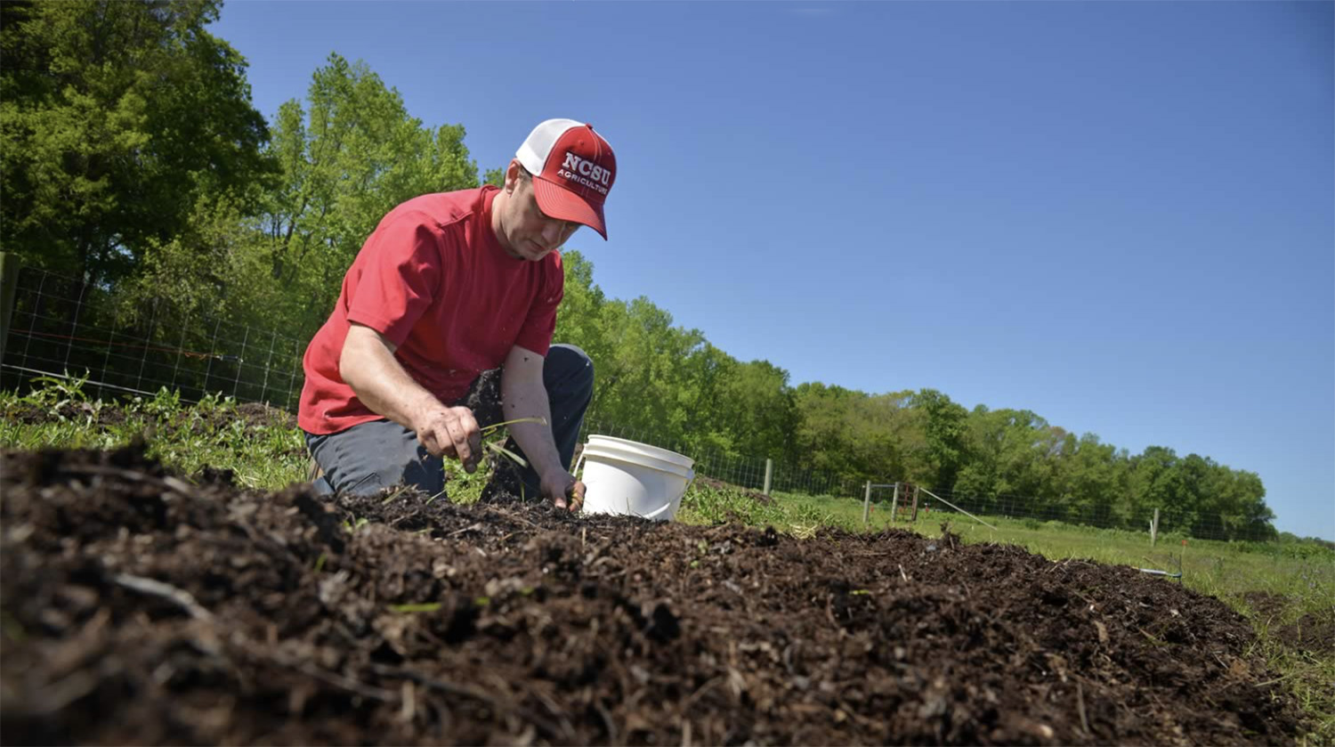 a man wearing a red and white baseball hat and a red shirt and jeans digs in the soil to plant a seedling