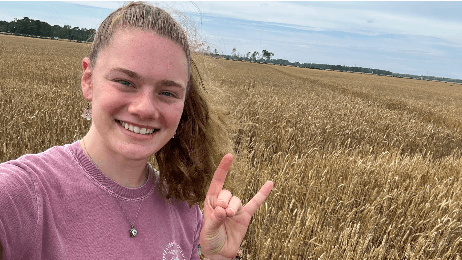 Walking through a wheat field, NC State student Julie Simons is measuring field length and calculating the acreage that needs to be harvested.