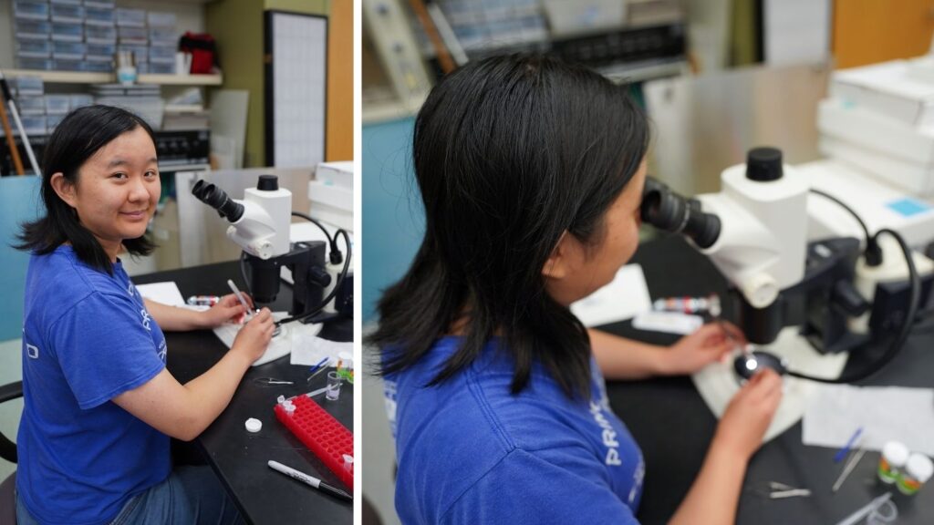 Kayla smiles to camera in lab on left, Kayla peers through a microscope on right