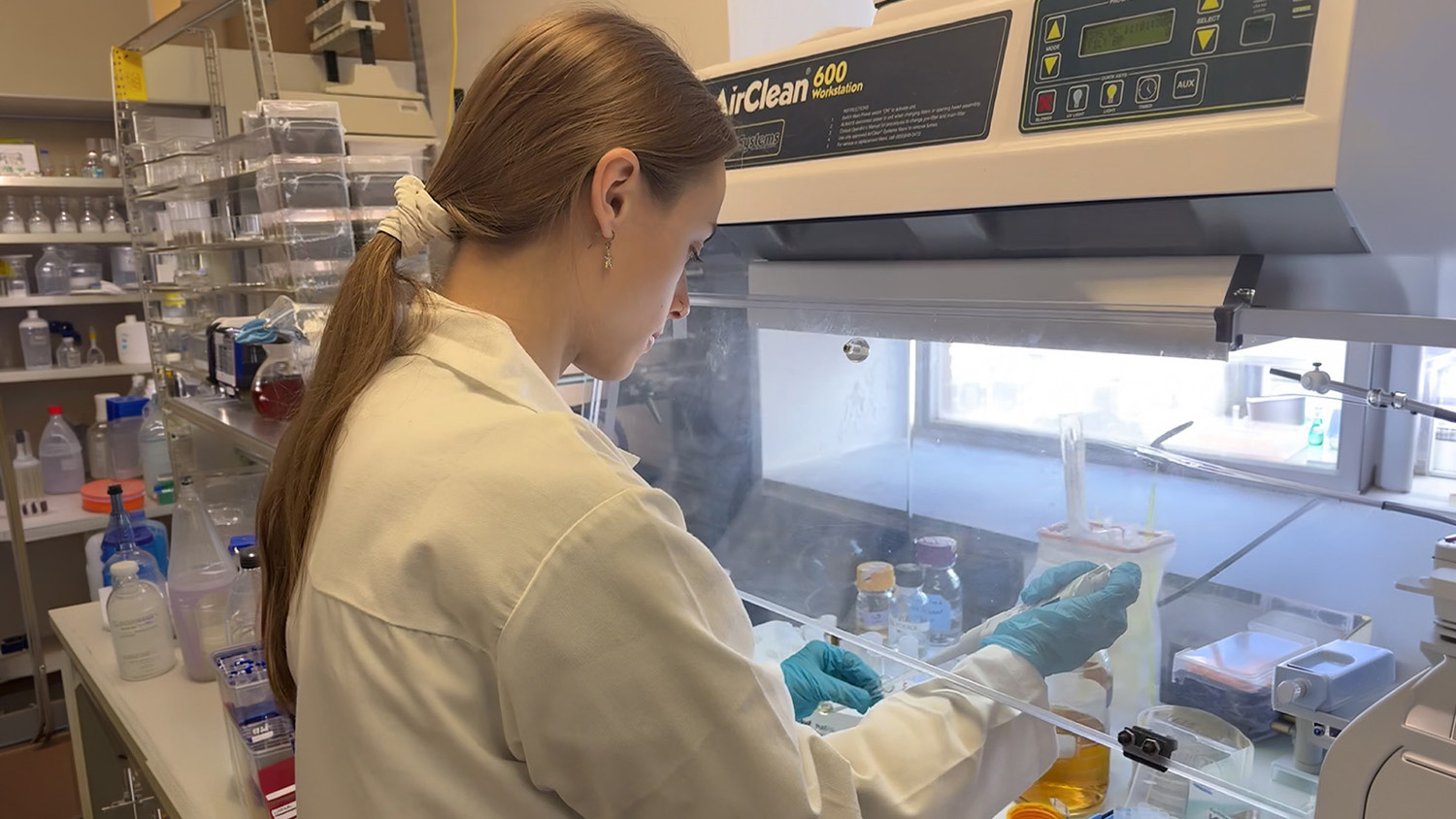 a woman in a white lab coat wearing blue latex gloves does an experiment under a fume hood