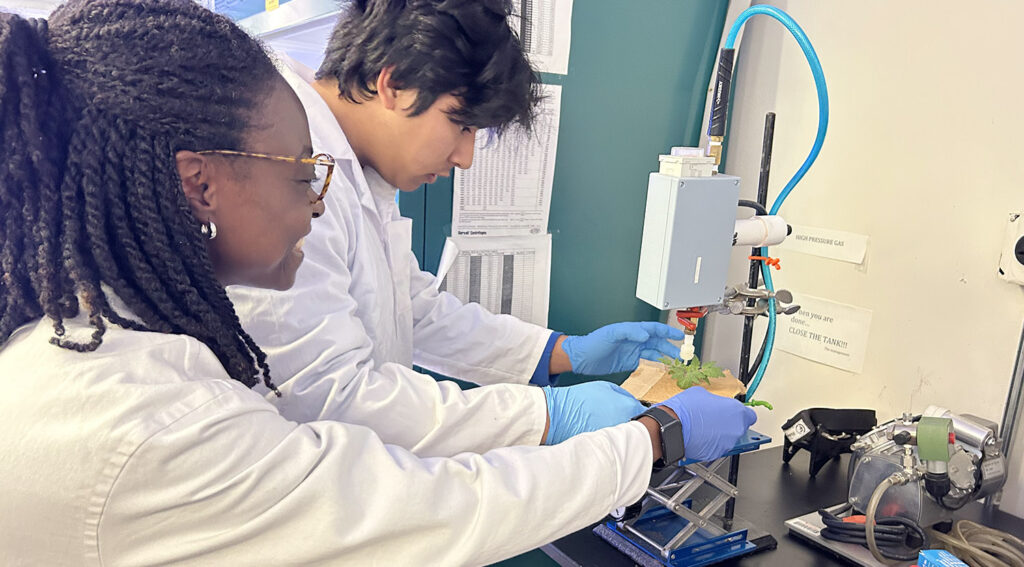 a man and woman wearing white jackets conduct an experiment on a plant leaf in a science ab
