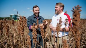 Randy Weisz and Wes Everman in sorghum field