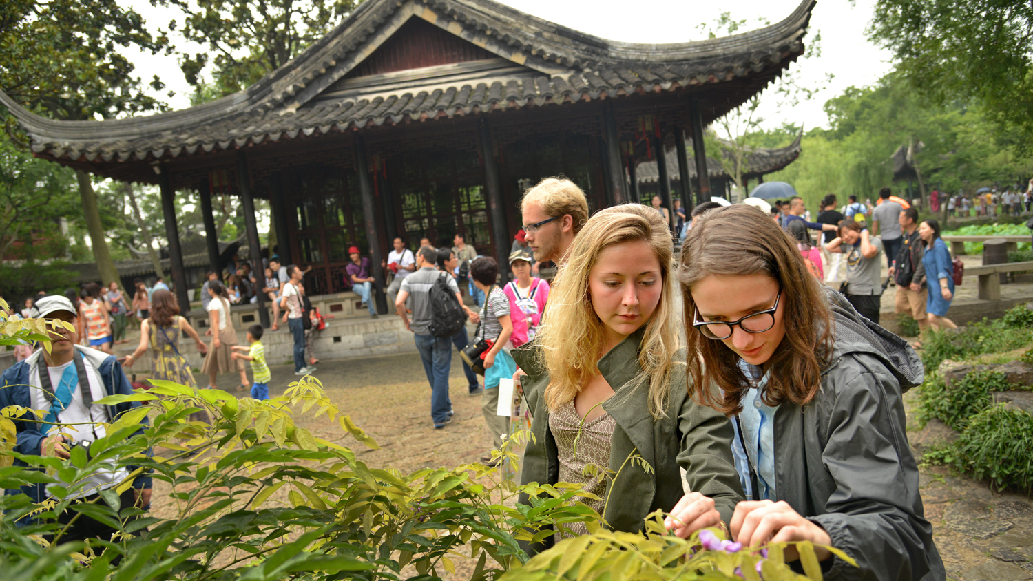 Students look at plants in China