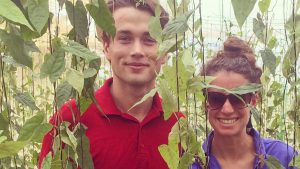 With another AgriCorps Fellow, Erik Jorgensen, Cannon looks at yam seedlings at the Crop Research Institute in Ghana.