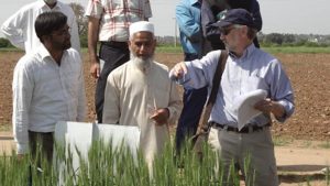 Dr. David Marshall points to a wheat field as he talks to six scientists in Pakistan.