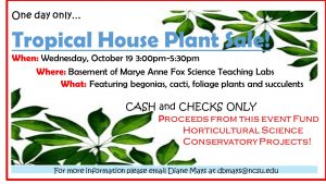 Tropical House Plant Sale Poster