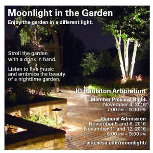 Moonlight in the Garden