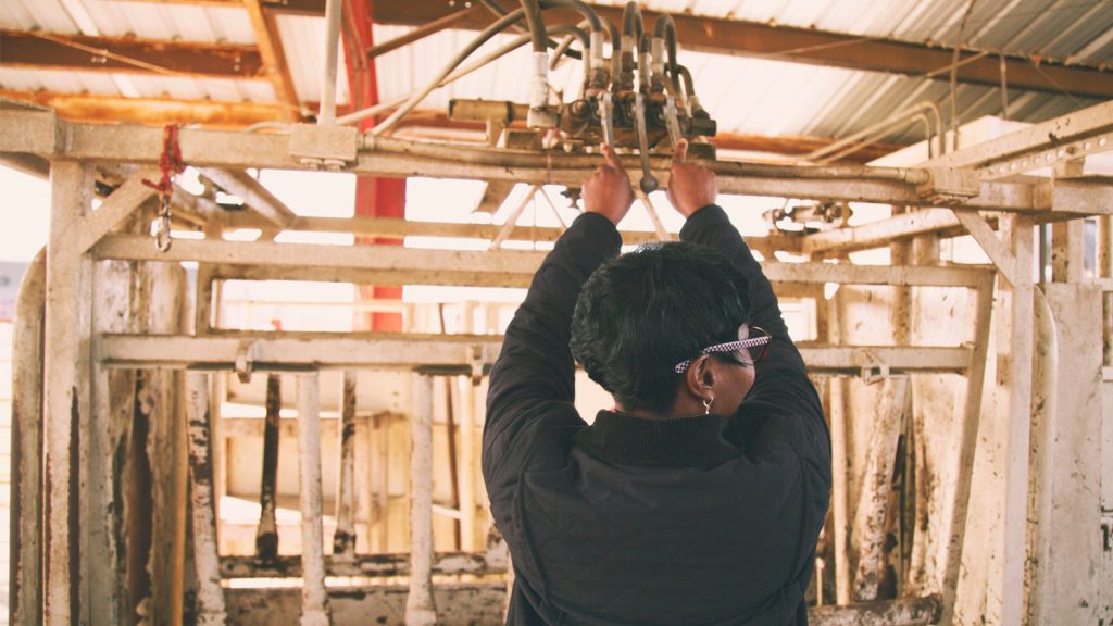 The NC Leadership and Cattle Handling for Women Producers Program participant.