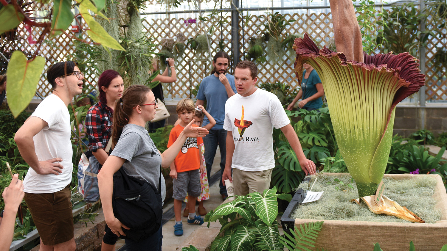 Brandon Huber, a horticulture student pursuing his master’s degree at NC State, and his rare titan arum – also known as the corpse flower – at a campus greenhouse in September 2016.