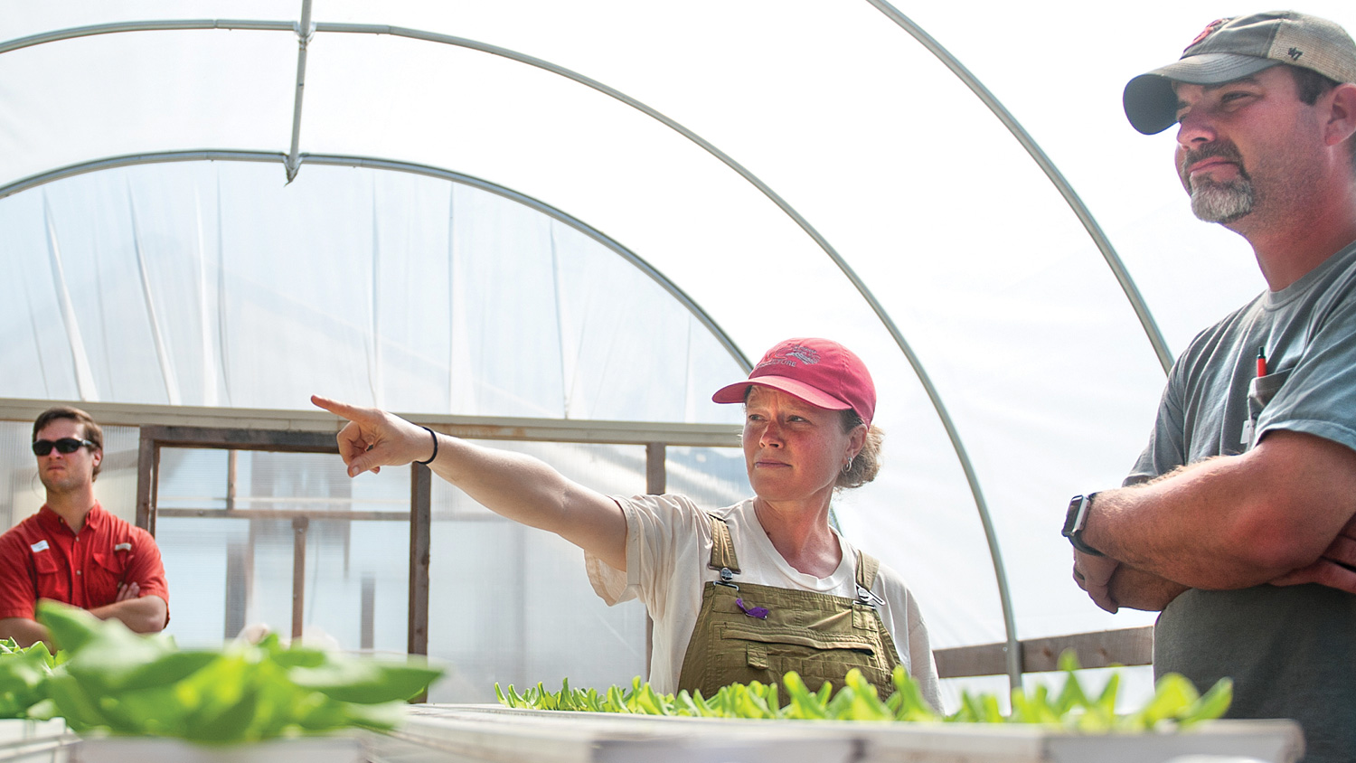 NC Farm School participants in a greenhouse.