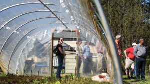 Greenhouse at NC Farm School