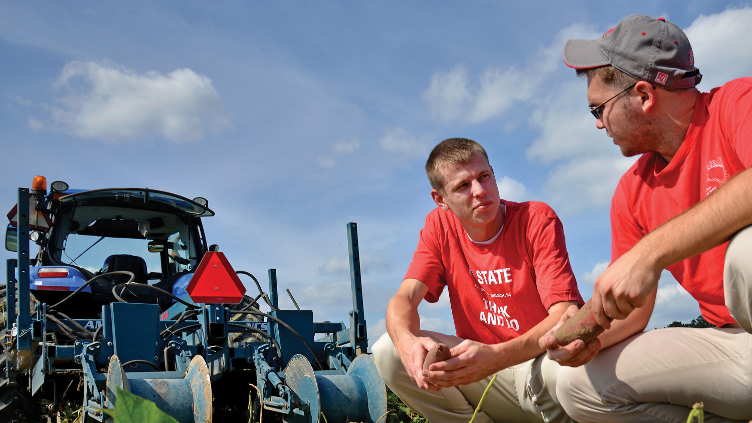 CALS students in sweet potato field at the Caswell Research Farm in Kinston, N.C.